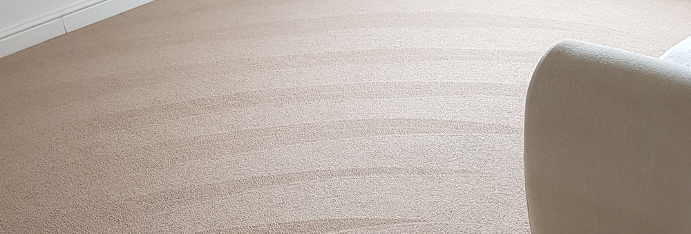 Dry Carpet Cleaning